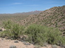 photo thumbnail #3