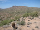 photo thumbnail #4