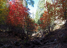 photo thumbnail #3