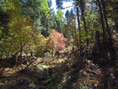 photo thumbnail #9