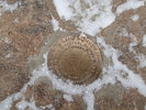 photo thumbnail #15
