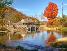 photo thumbnail #15