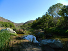 photo thumbnail #3