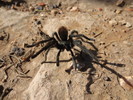 photo thumbnail #2