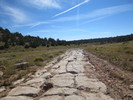 photo thumbnail #5