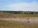 photo thumbnail #10