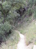 photo thumbnail #14