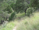 photo thumbnail #15