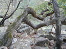 photo thumbnail #10