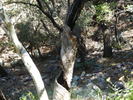 photo thumbnail #13