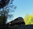 photo thumbnail #12