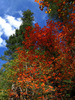 photo thumbnail #13