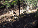 photo thumbnail #1