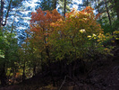 photo thumbnail #7