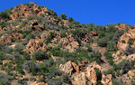 photo thumbnail #9