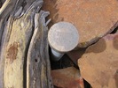 photo thumbnail #1