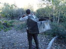 photo thumbnail #2