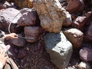 photo thumbnail #14