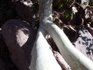 photo thumbnail #15