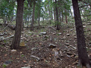 photo thumbnail #4