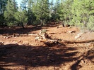 photo thumbnail #2