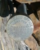 photo thumbnail #10