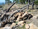photo thumbnail #11