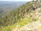 photo thumbnail #15