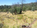 photo thumbnail #6
