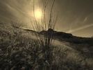photo thumbnail #6
