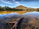photo thumbnail #9