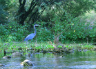 photo thumbnail #13