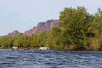 photo thumbnail #4
