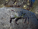 photo thumbnail #15