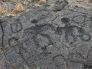 photo thumbnail #14