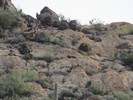 photo thumbnail #12