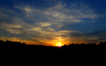 photo thumbnail #15