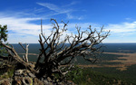 photo thumbnail #14