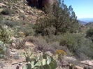 photo thumbnail #4