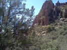 photo thumbnail #6