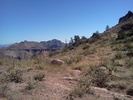photo thumbnail #13
