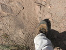 photo thumbnail #12