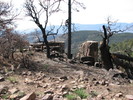 photo thumbnail #13
