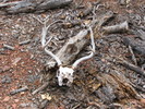 photo thumbnail #6