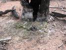 photo thumbnail #12