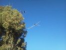 photo thumbnail #10