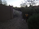 photo thumbnail #3