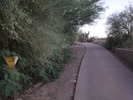 photo thumbnail #7