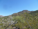 photo thumbnail #4