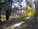 photo thumbnail #2